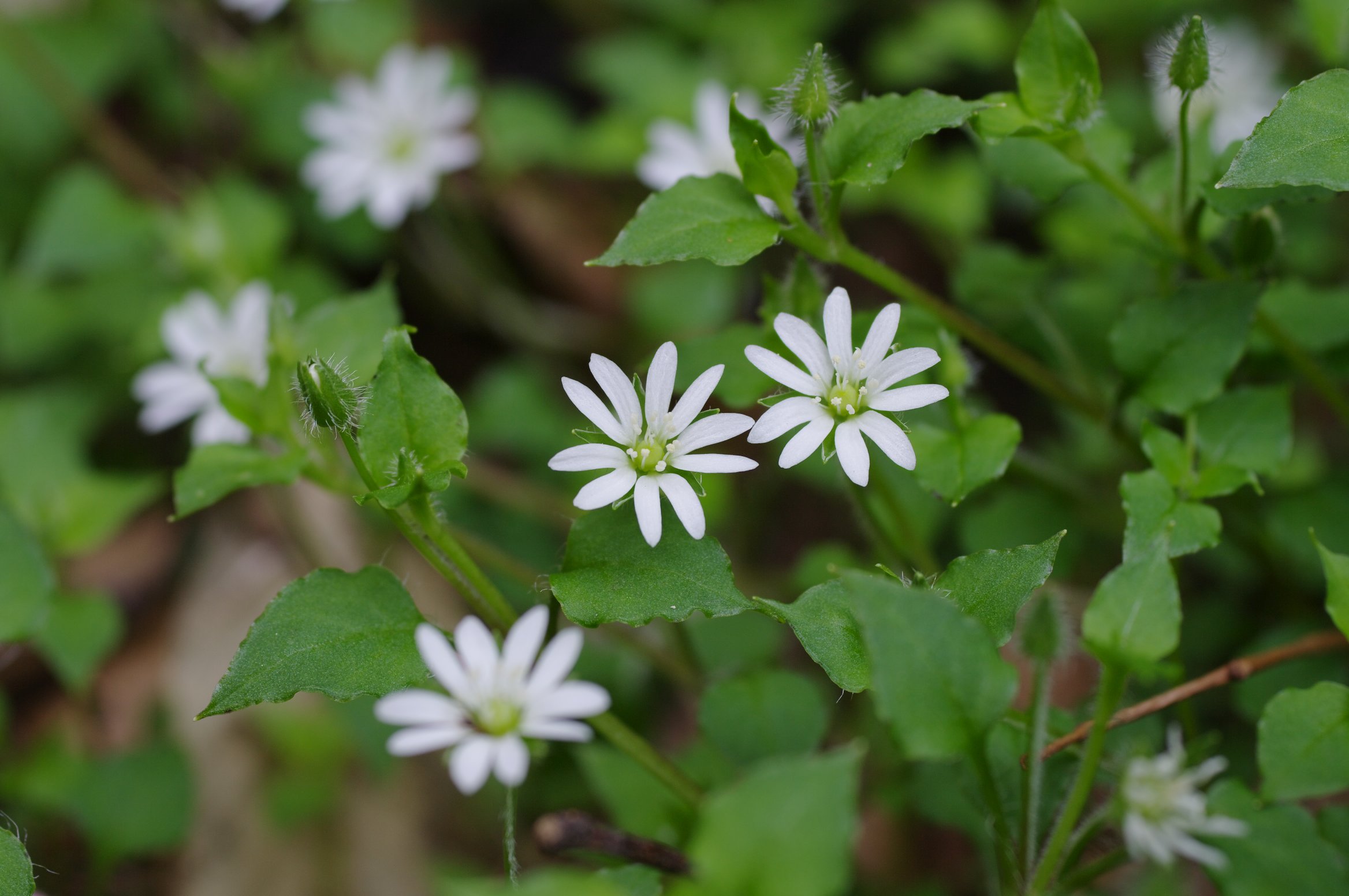 �~���}�n�R�x