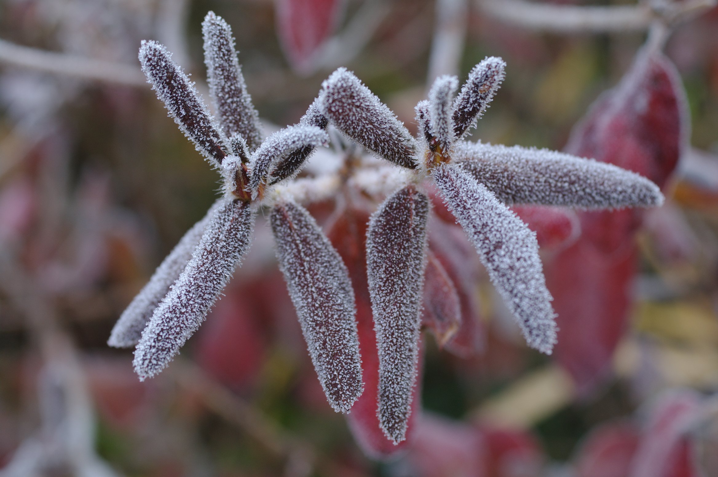 ���`�c�c�W