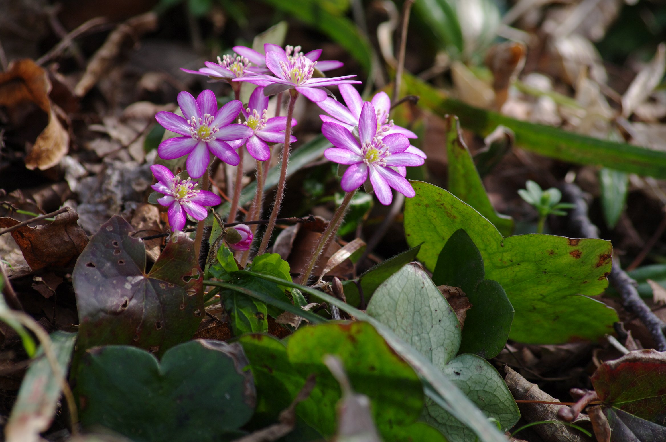 �I�I�~�X�~�\�E