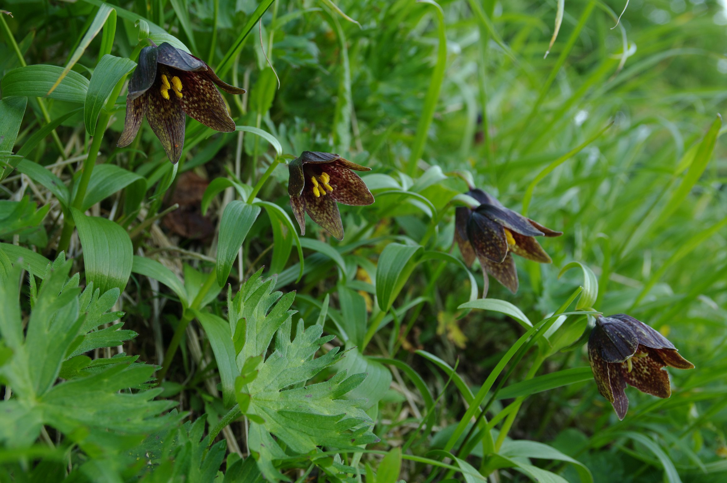 �N������