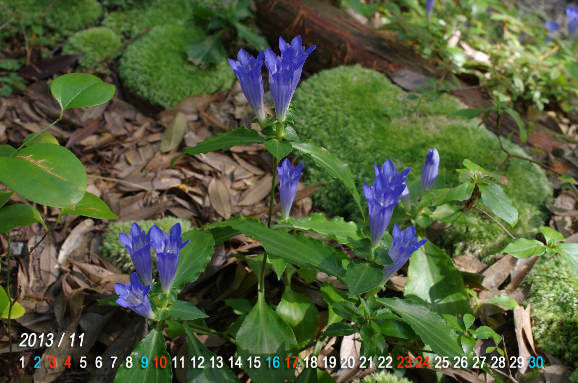 �A�T�}�����h�E