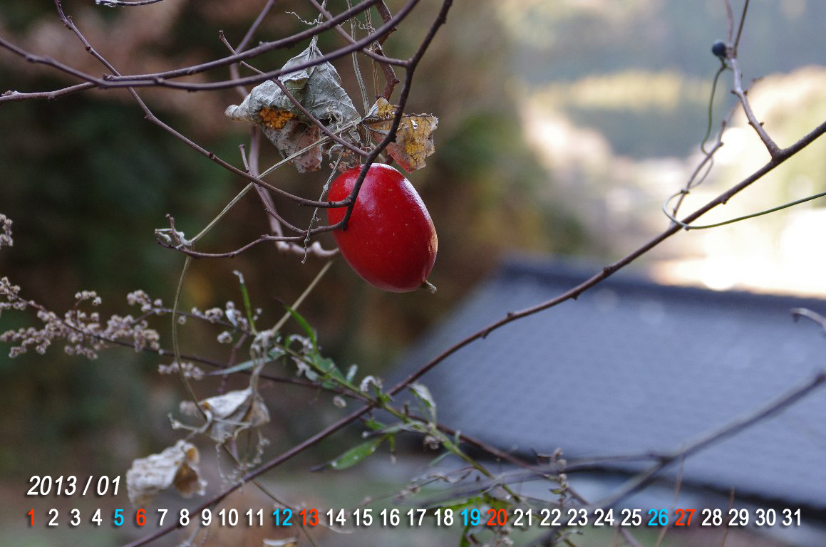 �J���X�E��