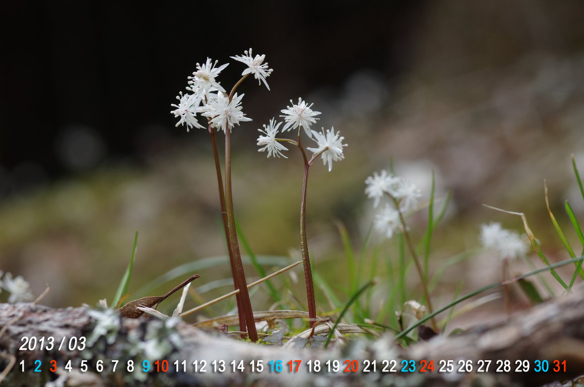 �I�E����