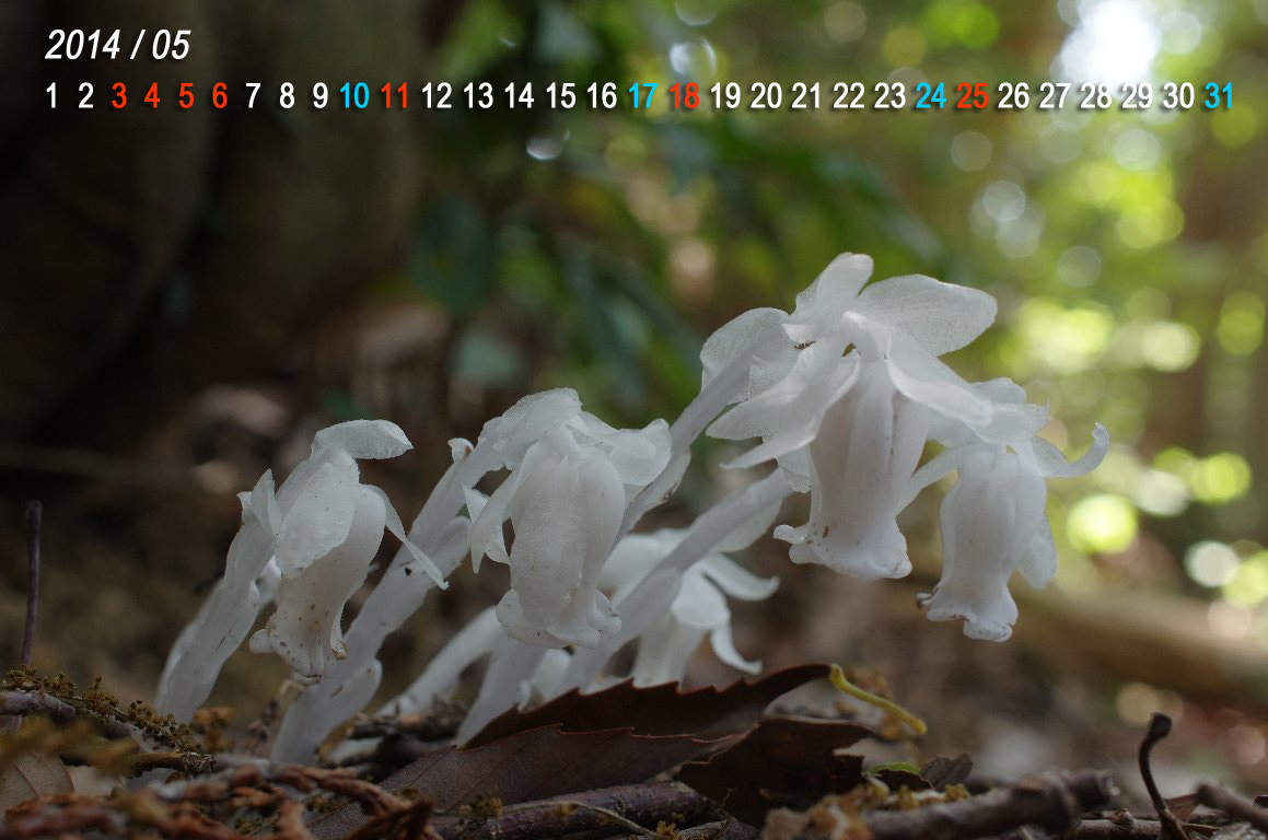 �M�������E�\�E