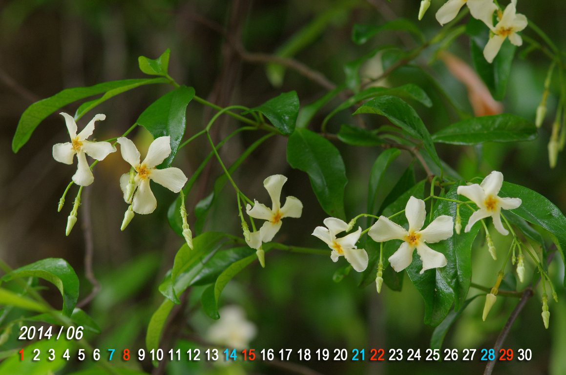 �e�C�J�J�Y��