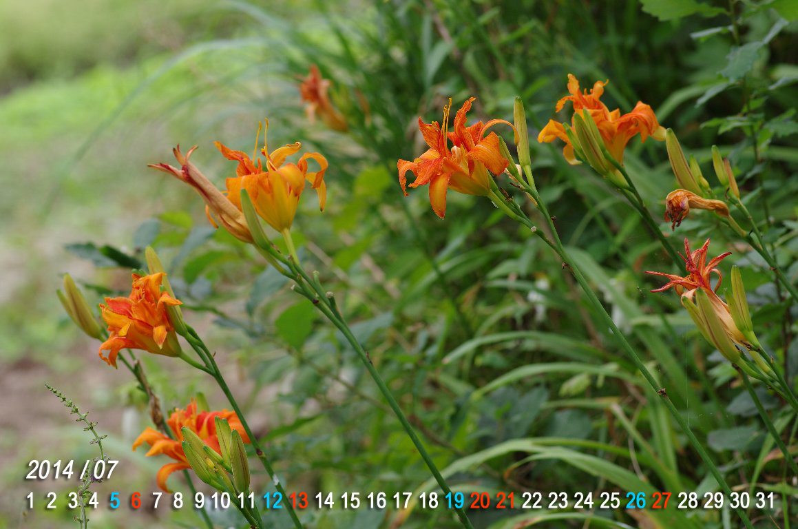 ���u�J���]�E