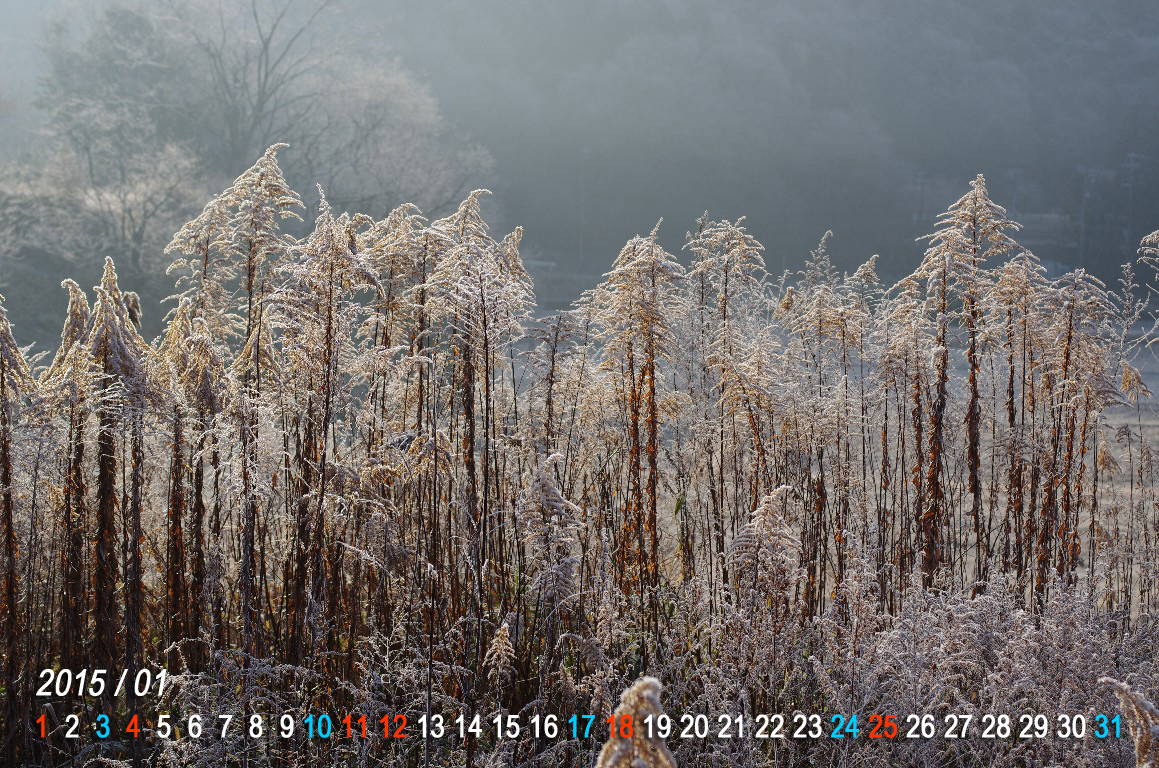 �Z�C�^�J�A���_�`�\�E