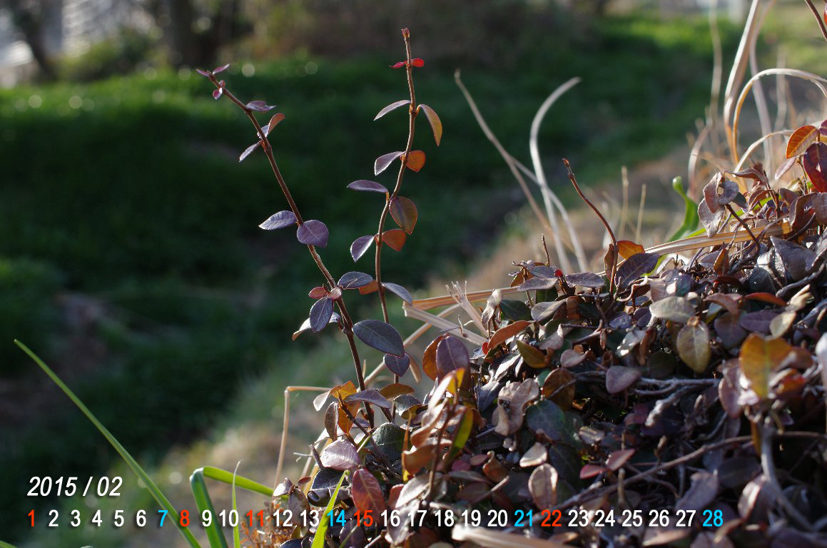 �e�C�J�J�Y��