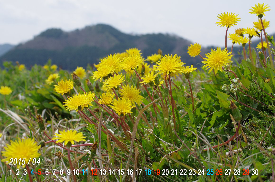 �J���T�C�^���|�|