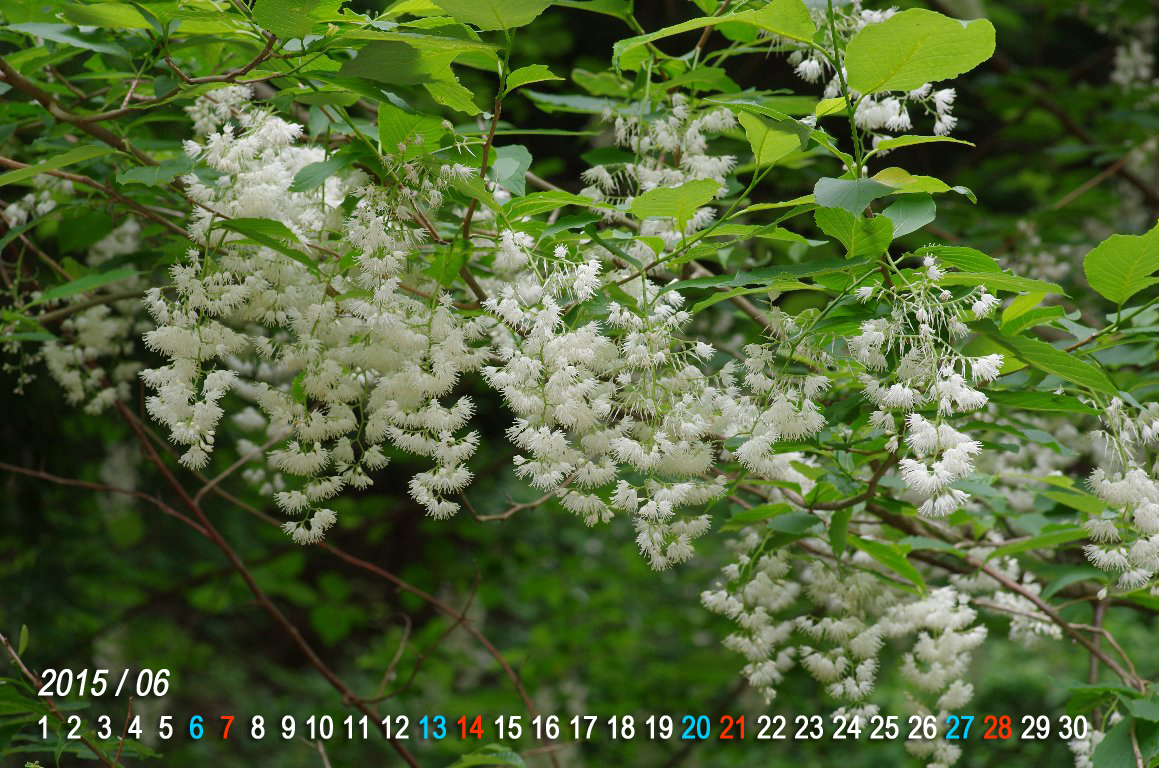 �I�I�o�A�T�K��