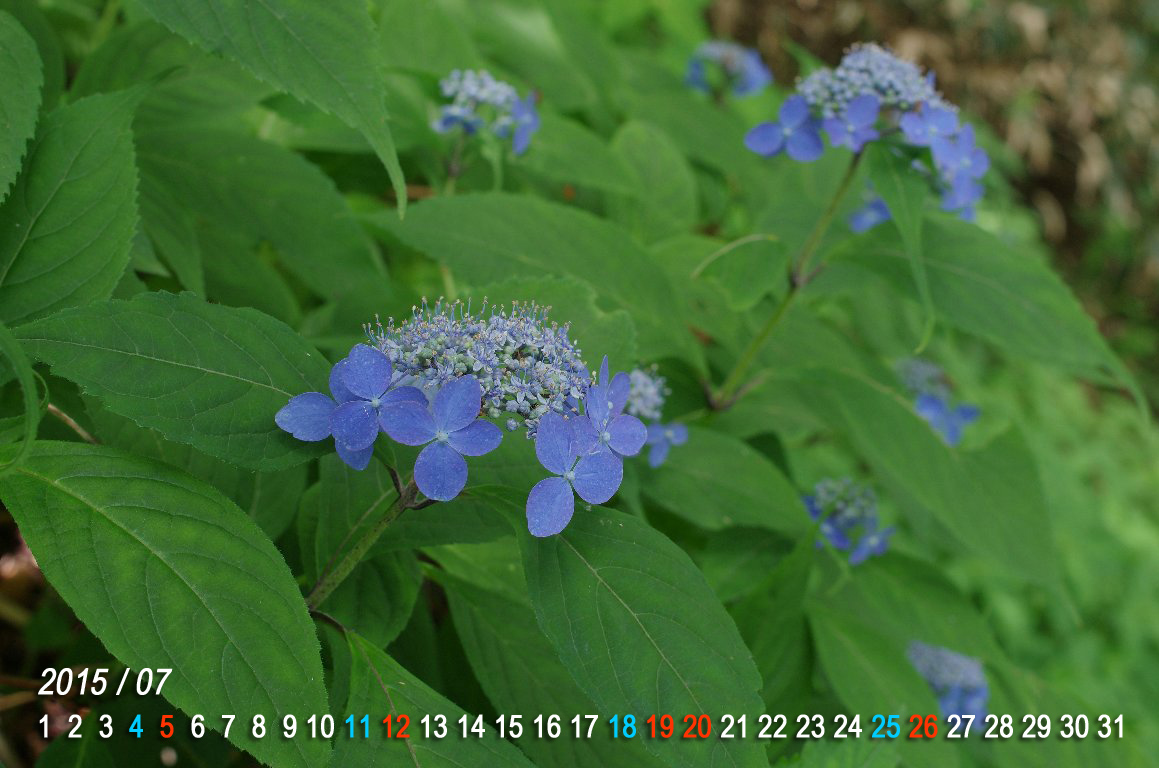 ���}�A�W�T�C