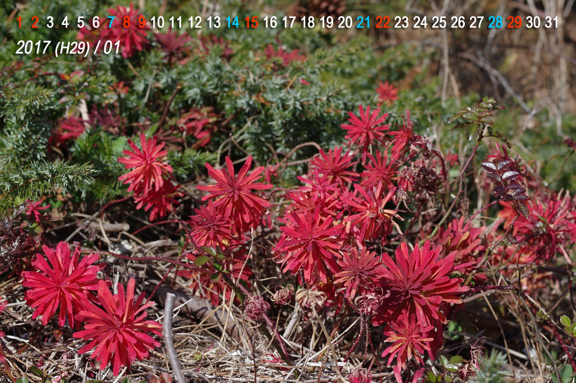 �n�M�N�\�E