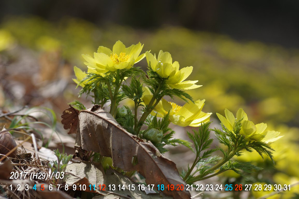 �~�`�m�N�t�N�W���\�E