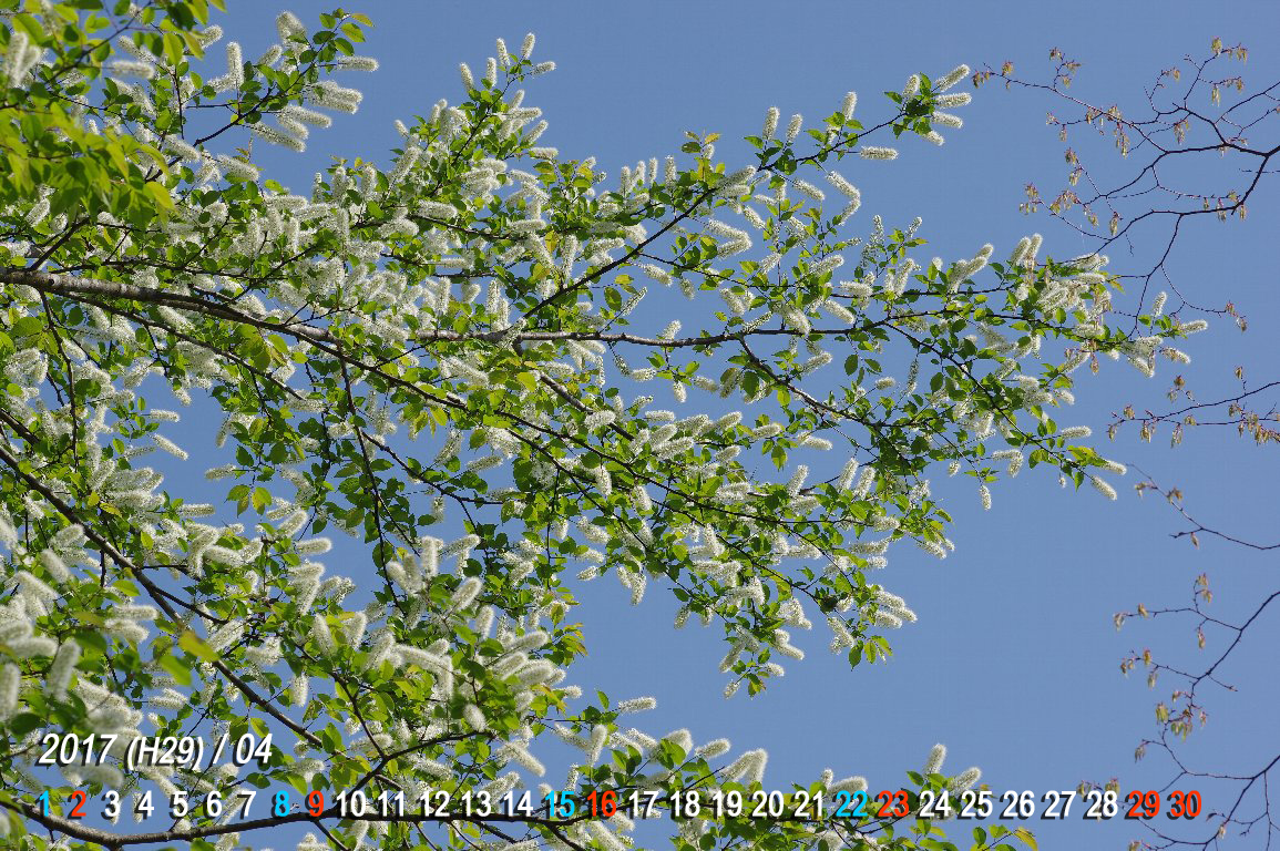 �E���~�Y�U�N��