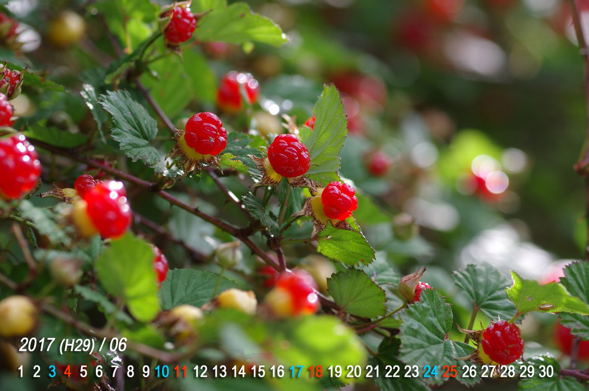 �j�K�C�`�S