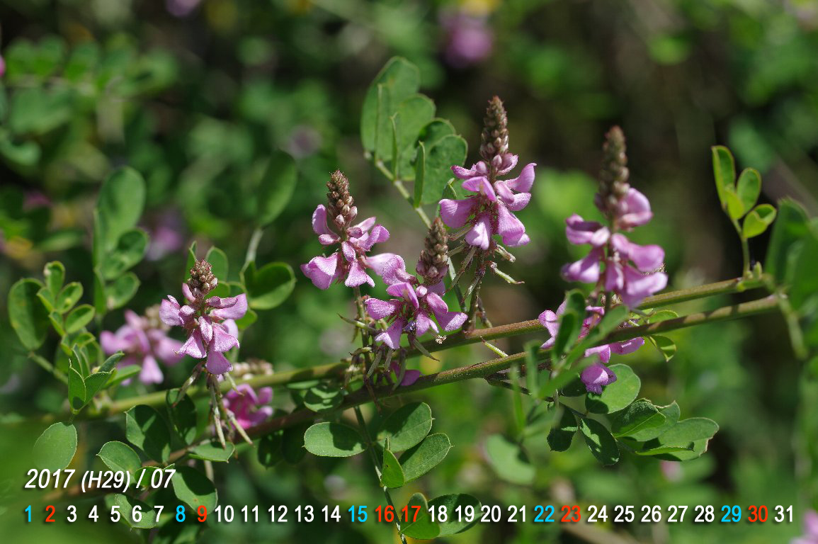 �R�}�c�i�M