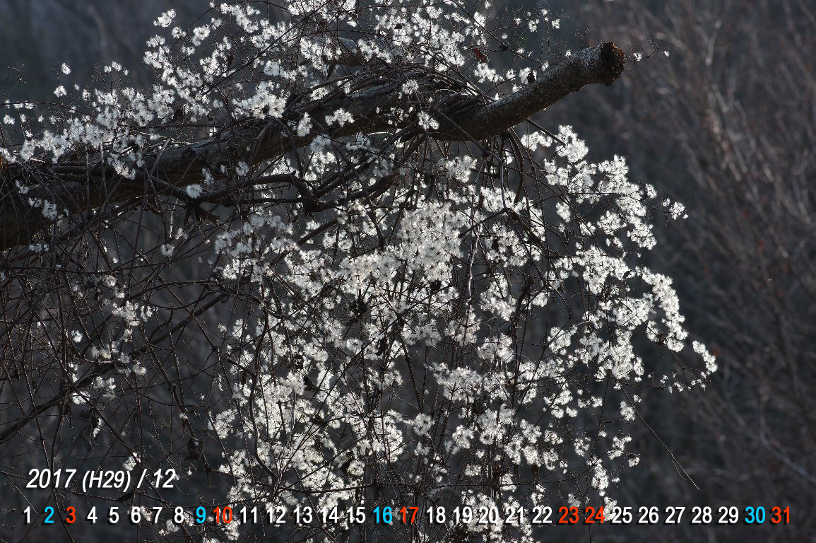 �{�^���d��