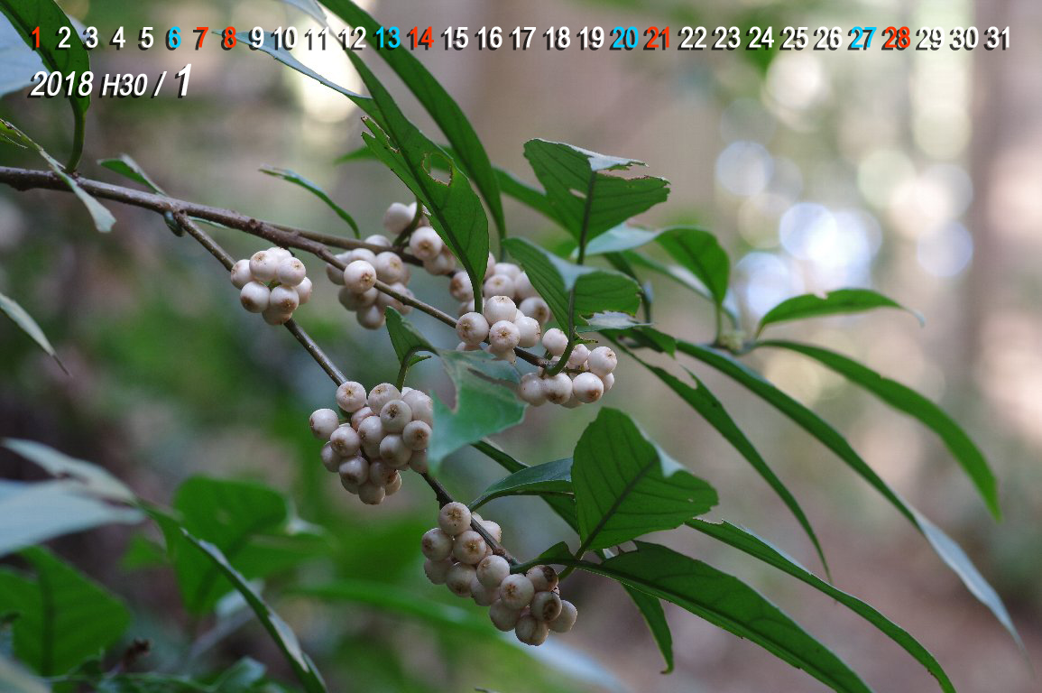 �C�Y�Z�������E