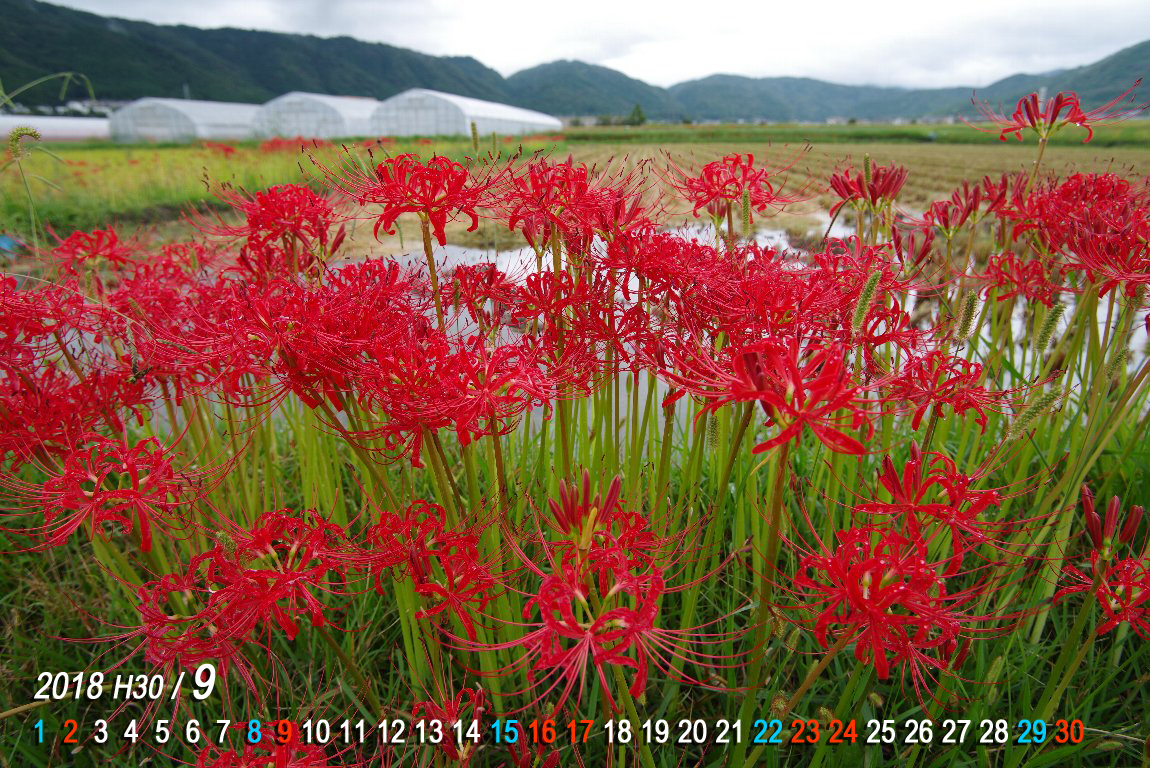 �q�K���o�i