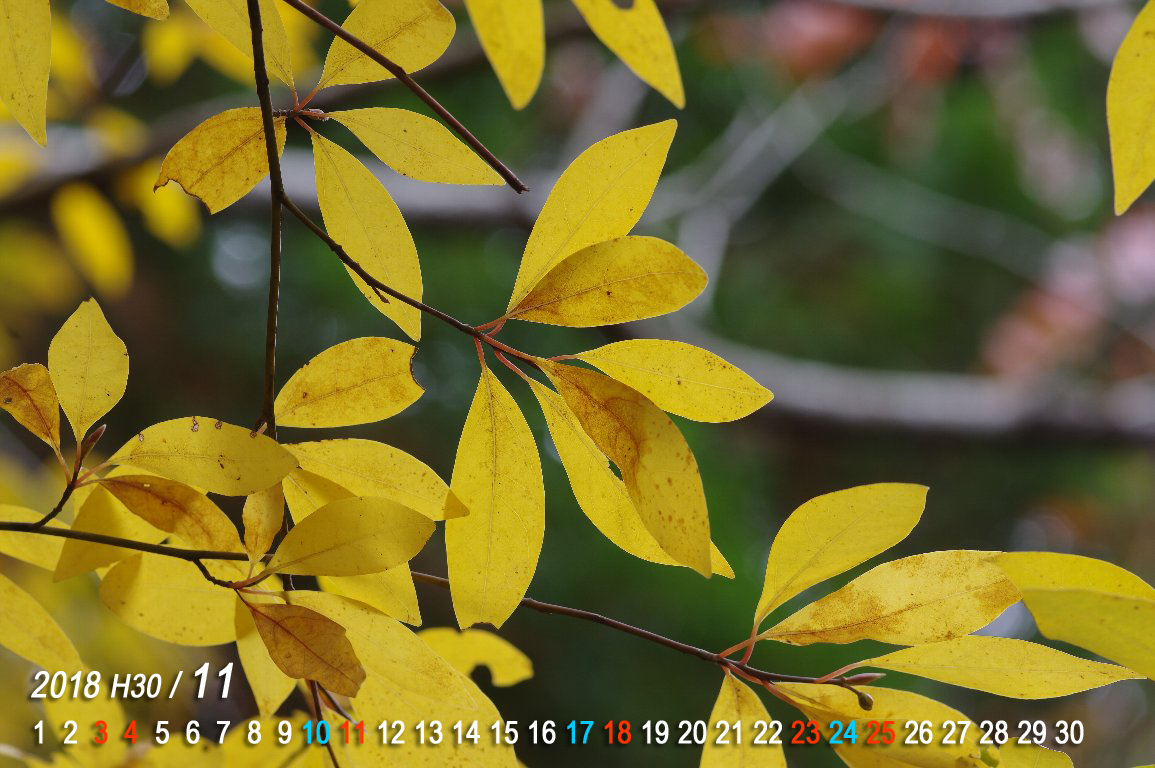 �N�����W