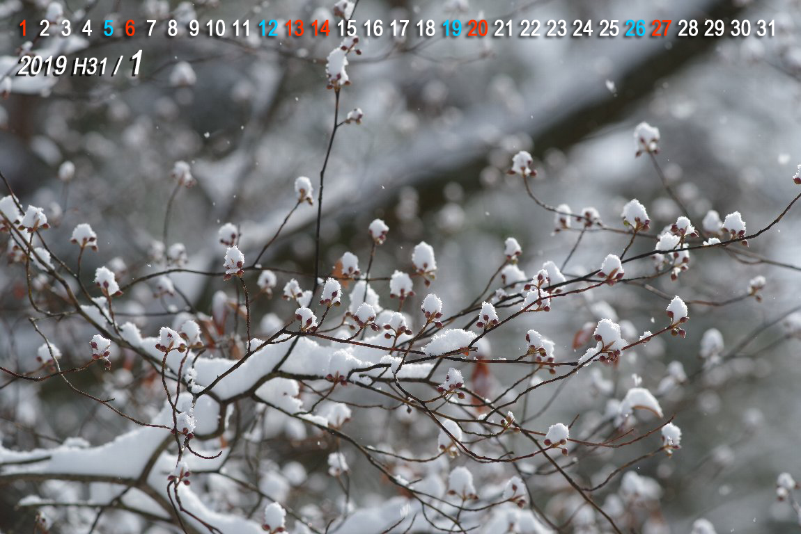 �N�����W