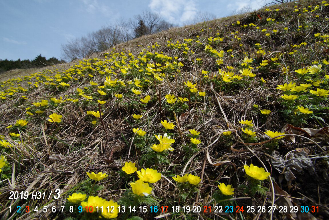 �~�`�m�N�t�N�W���\�E