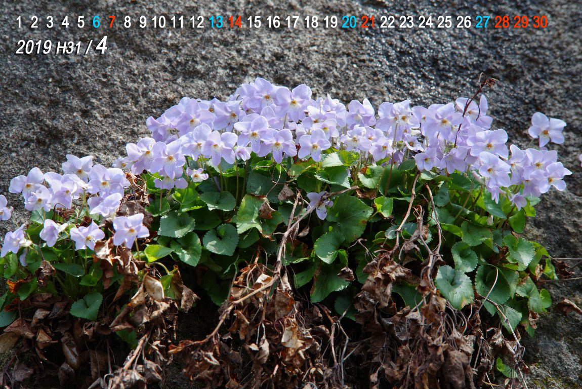 �^�`�c�{�X�~��