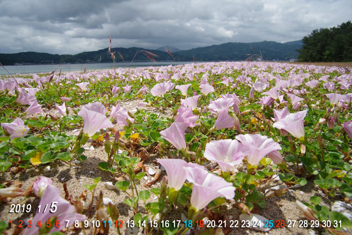 �n�}�q���K�I