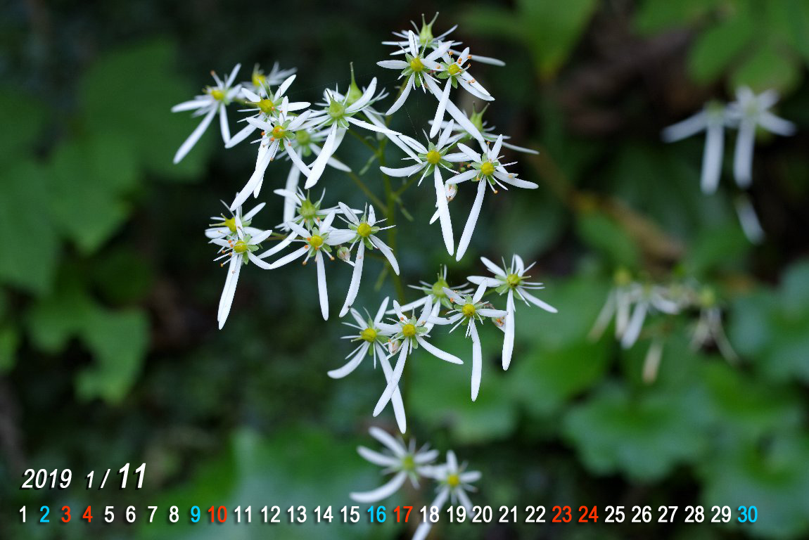 �_�C�����W�\�E