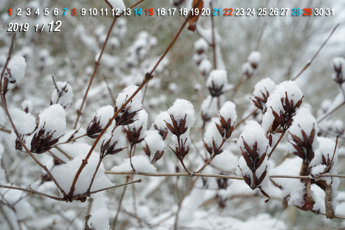 �^�j�E�c�M