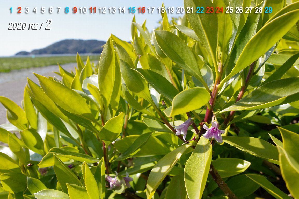 �n�}�W���`���E