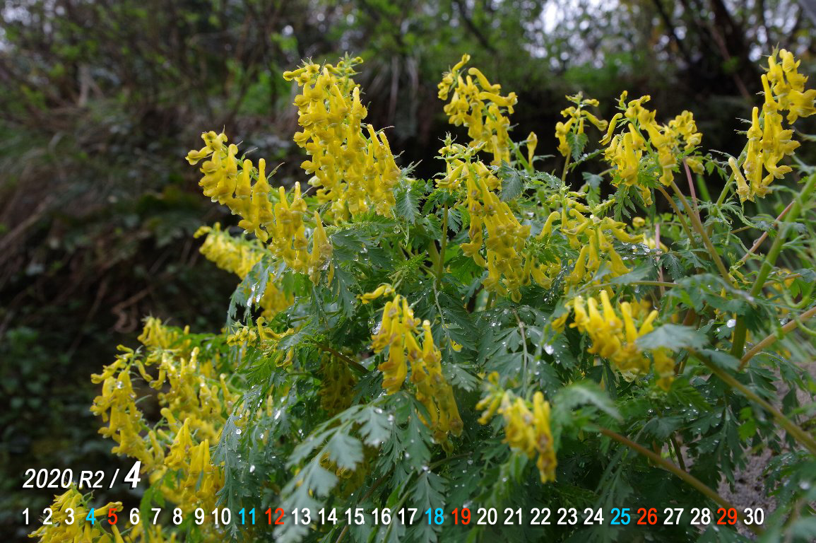 �~���}�L�P�}��