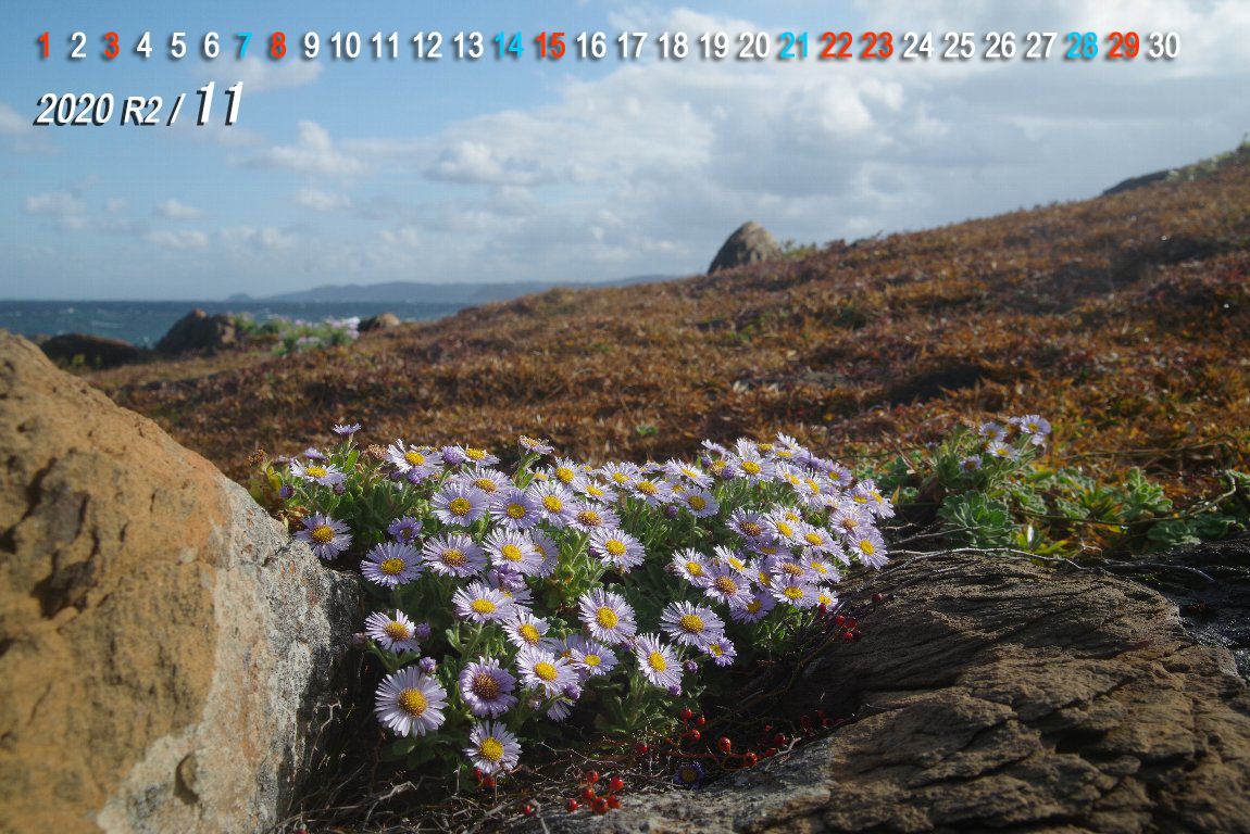 �_���}�M�N