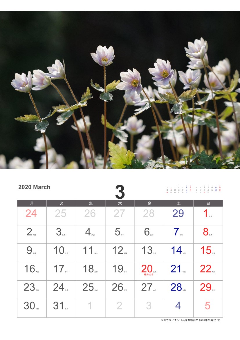 ���L�����C�`�Q