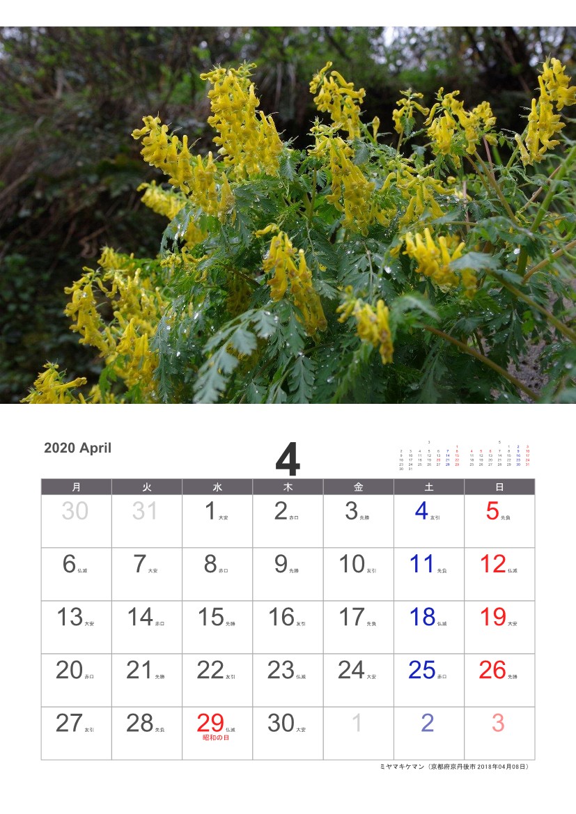 �~���}�L�P�}��