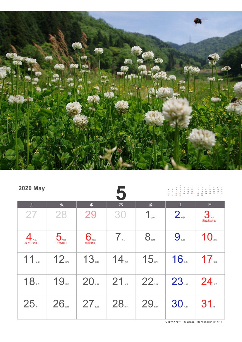 �V���c���N�T