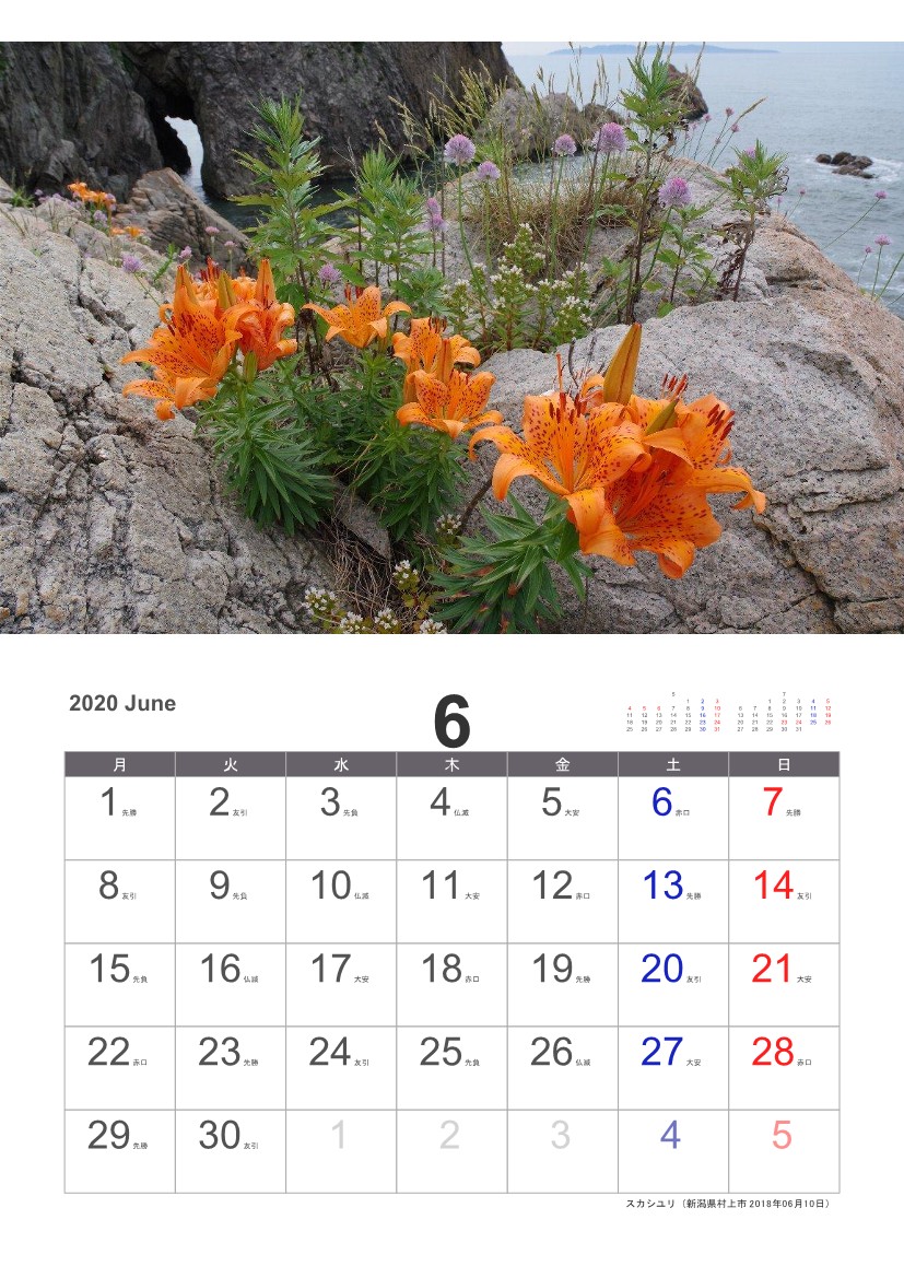 �X�J�V����