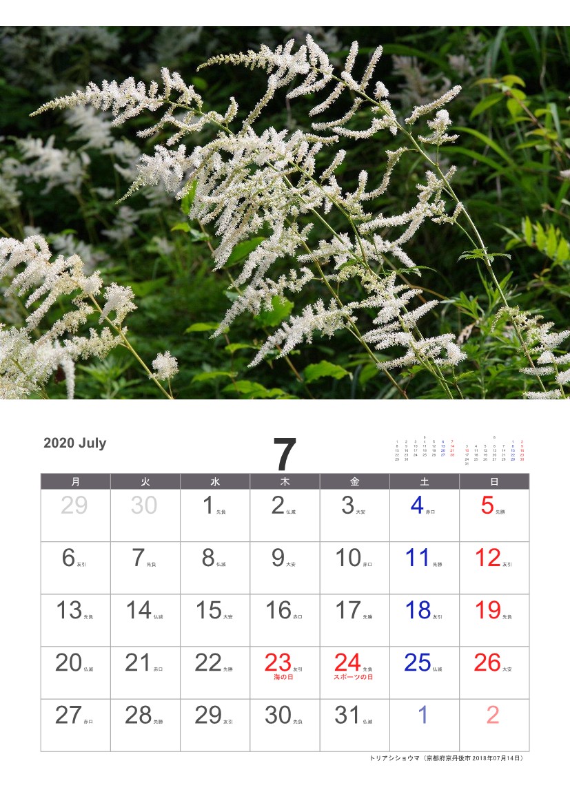 �g���A�V�V���E�}