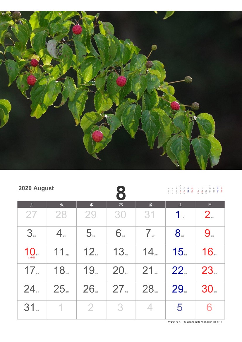 ���}�{�E�V