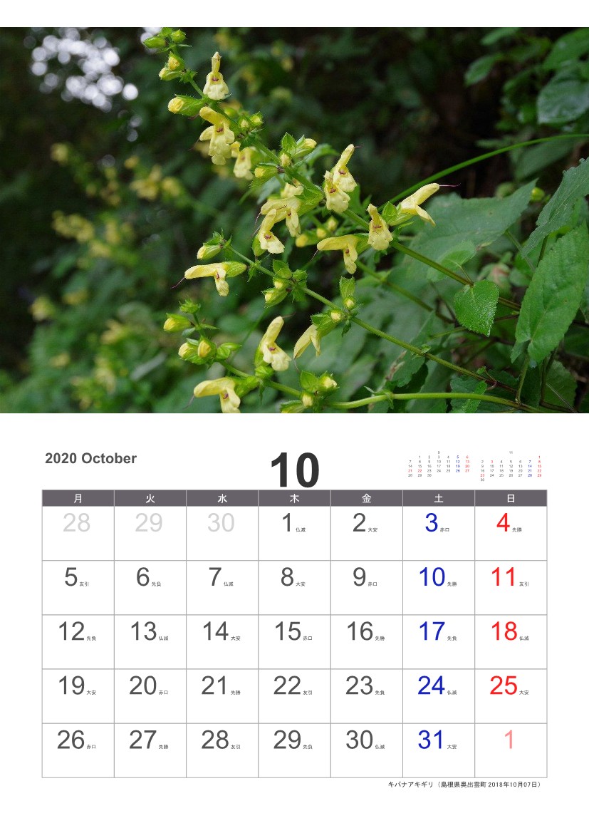 �L�o�i�A�L�M��