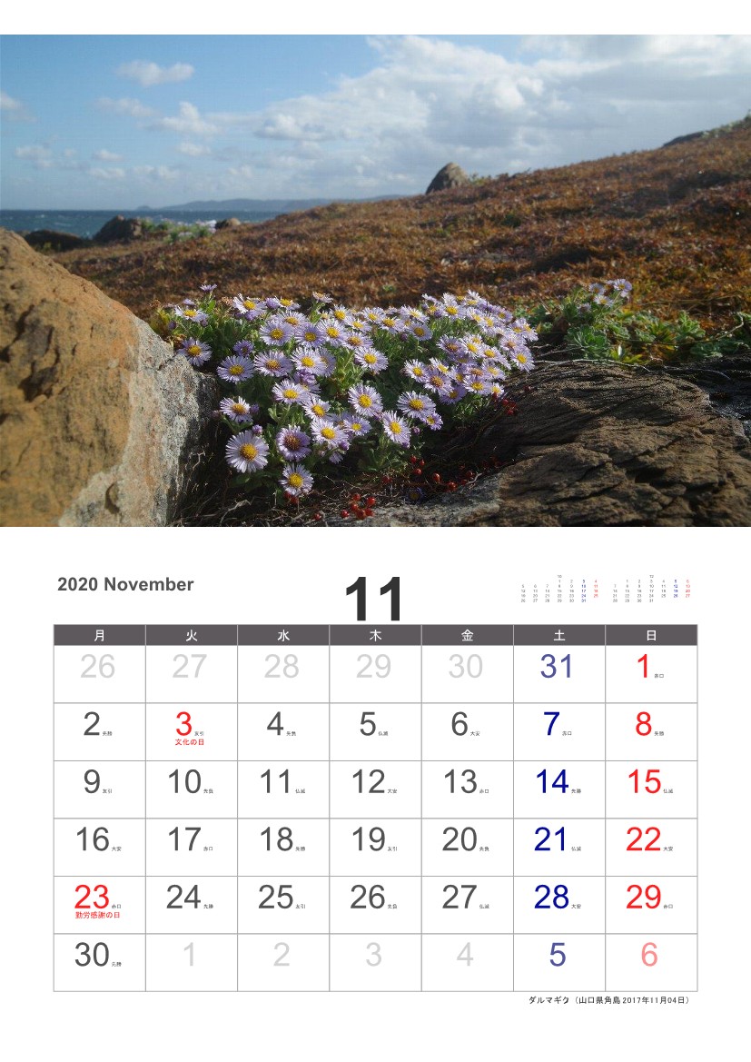 �_���}�M�N