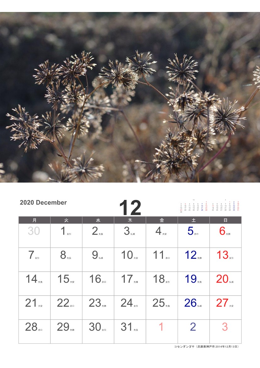 �R�Z���_���O�T