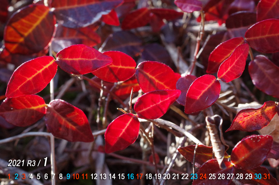 �e�C�J�J�Y��