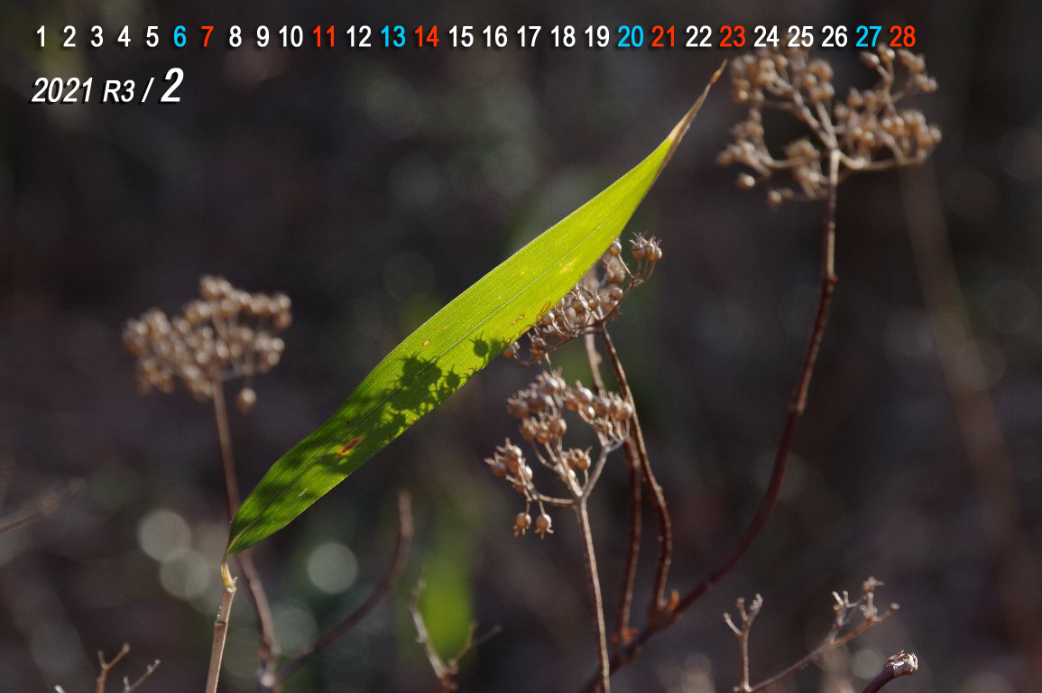 �~�ؘ̖R���