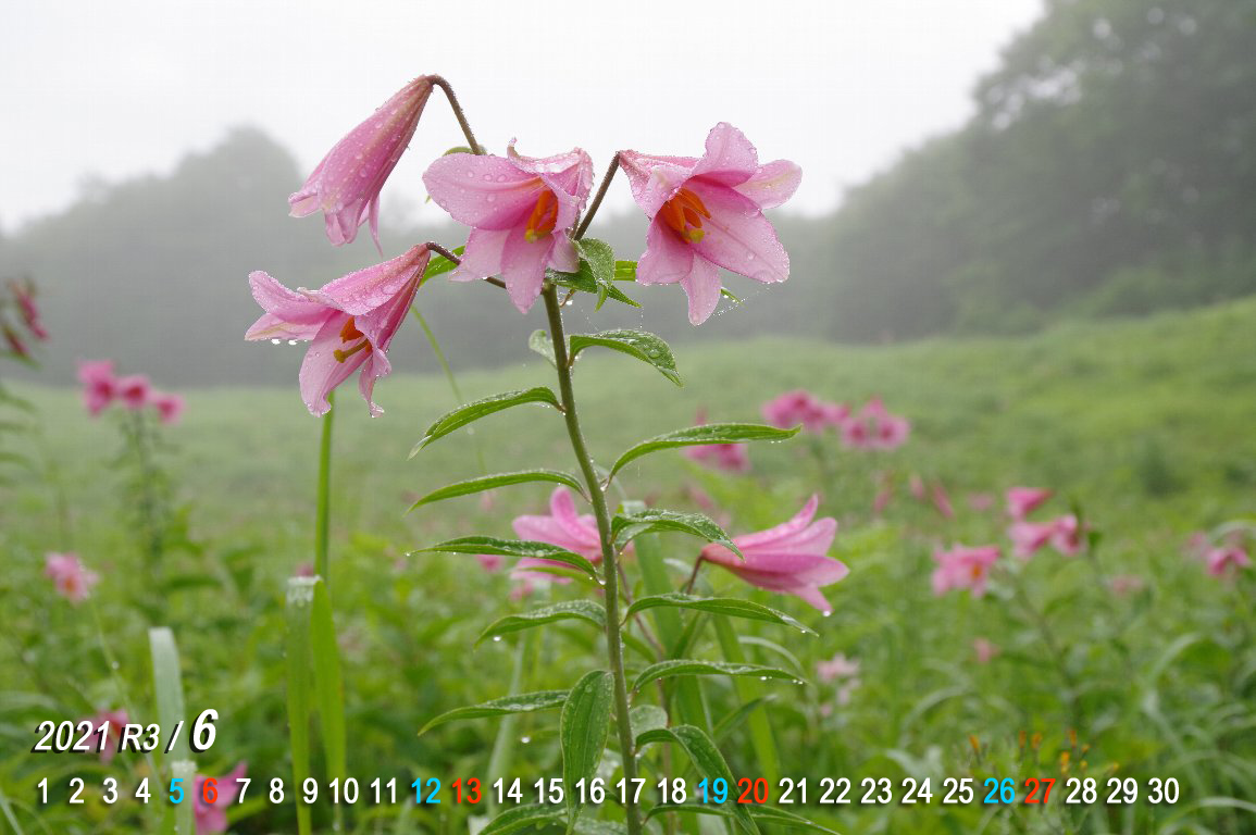 �q���T����