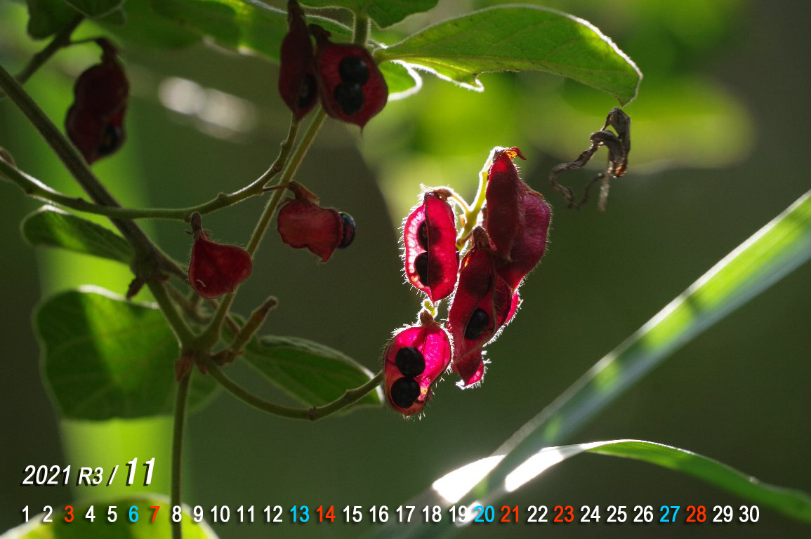 �^���L���}��