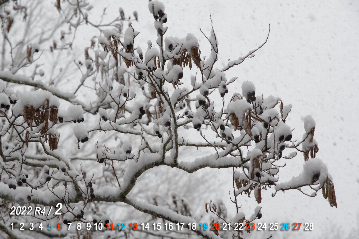 �P���}�n���m�L