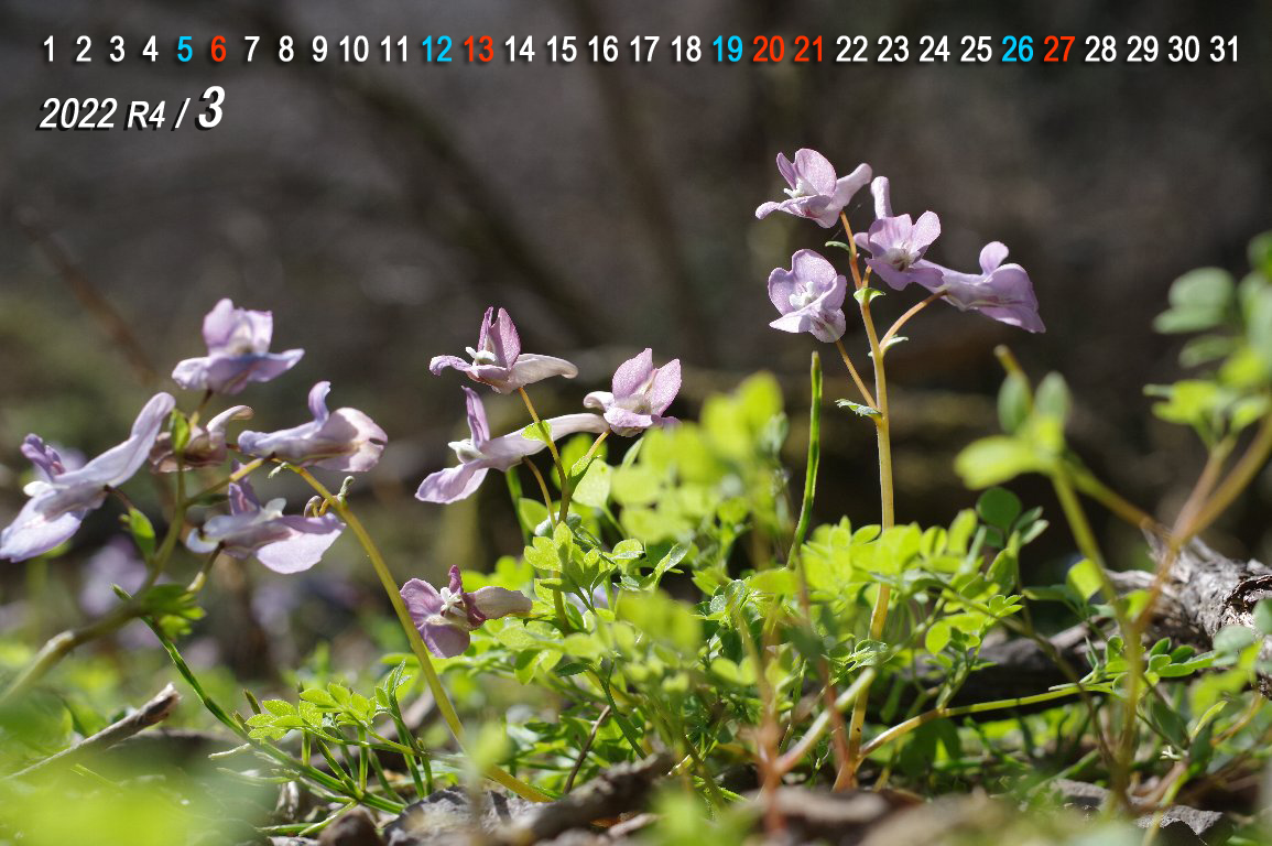 ���}�G���S�T�N