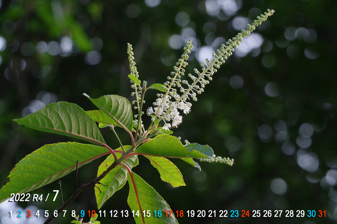 �����E�u