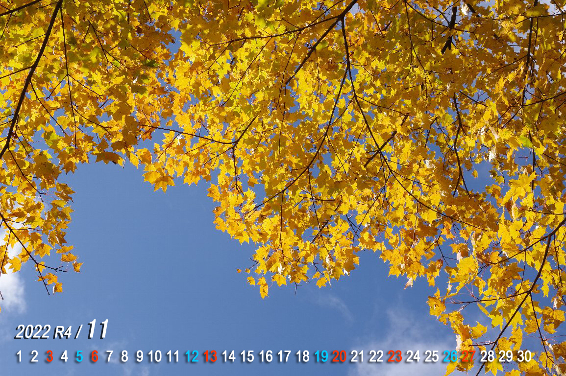 �C�^���J�G�f